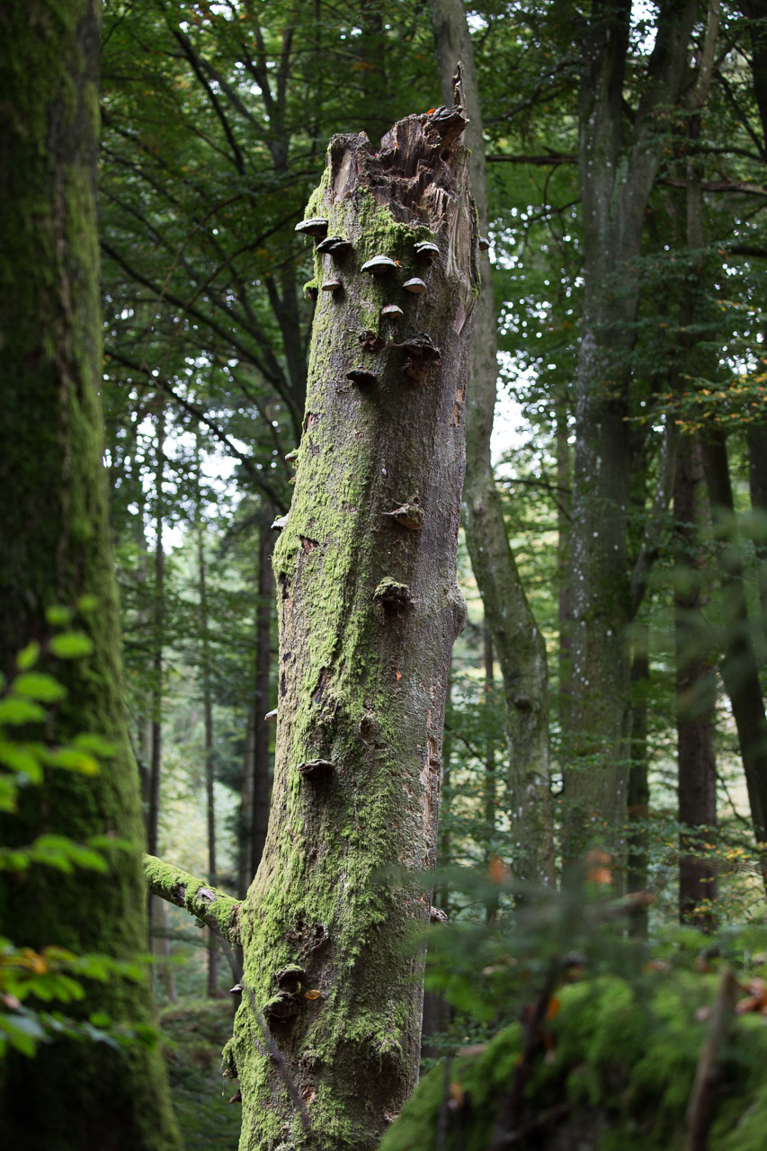 20231014100727 3K6A2261